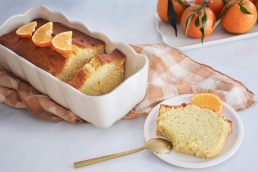 Emile Henry Madeleine Cakevorm | 285x130x90mm | Handgemaakt HR® Keramiek