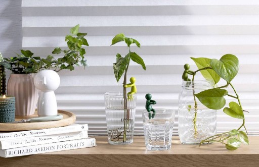 Peleg Design Stekjeshouder Leafriend | Groen | Plantensteun voor Stekjes