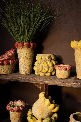 Fruitsy Ronde Terracotta Pot Rood L | Aardbeienrand 20 cm