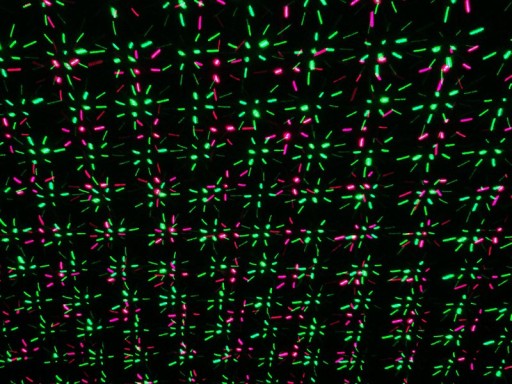 Laser outside spy with projector, skewer made of plastic, colorful, with integrated LED, spotlight for outside