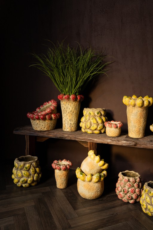 Fruitsy Red Round Terra Pot Strawberries High M