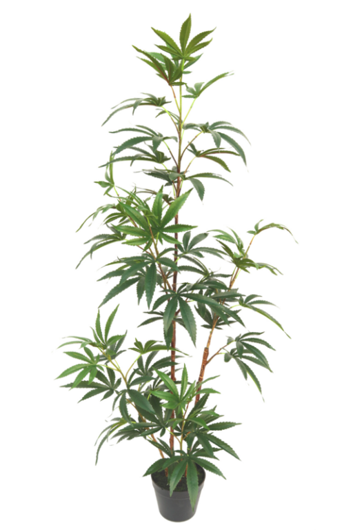 Aralia Kunstplant 130cm