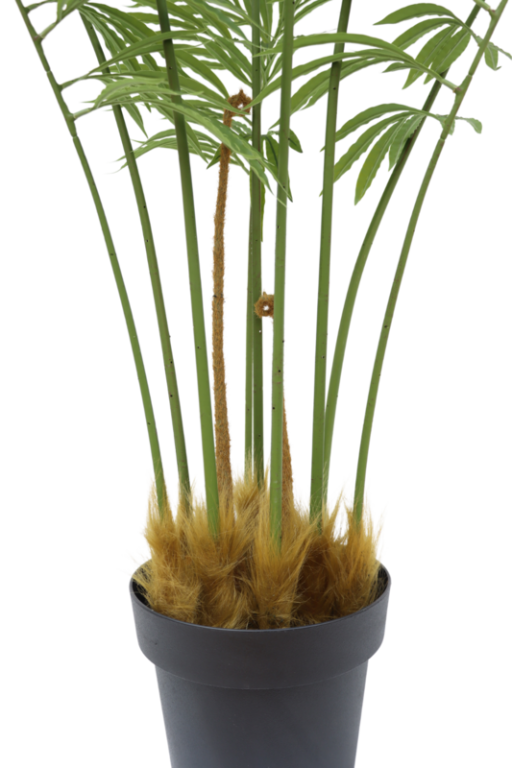 Artificial Palm Fern 160cm