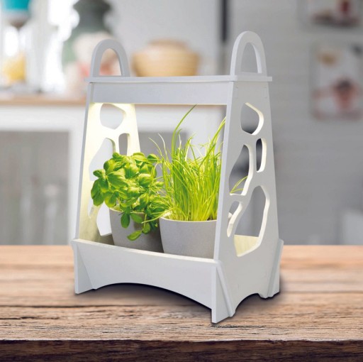 LED mini garden h: 50cm white "Garden"
