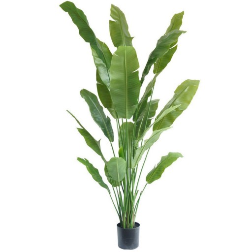 Strelitzia Kunstplant 210cm