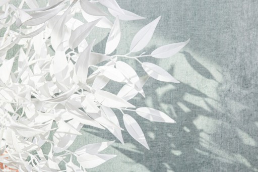 Leaves Plant White Smilax Spray - Product afbeelding