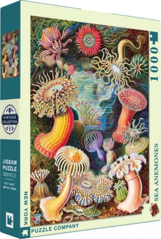 New York Puzzle Company Sea Anemones - 1000 pieces