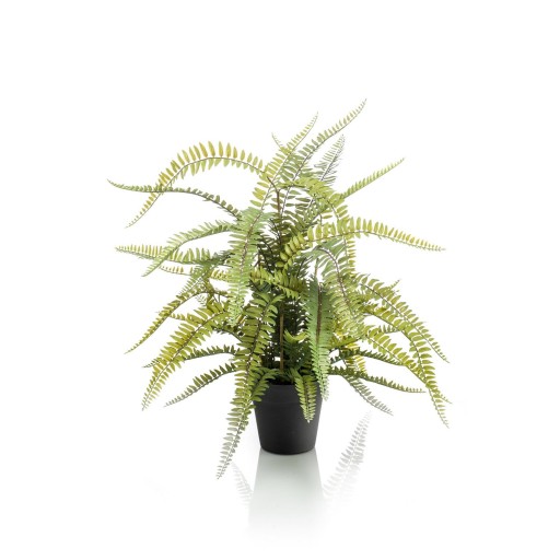 Kunstplant - Nephrolepis Exaltata - Bostonvaren - 70 cm