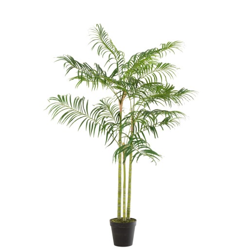 J-Line Bamboepalm In Pot Plastiek Groen/Zwart Small