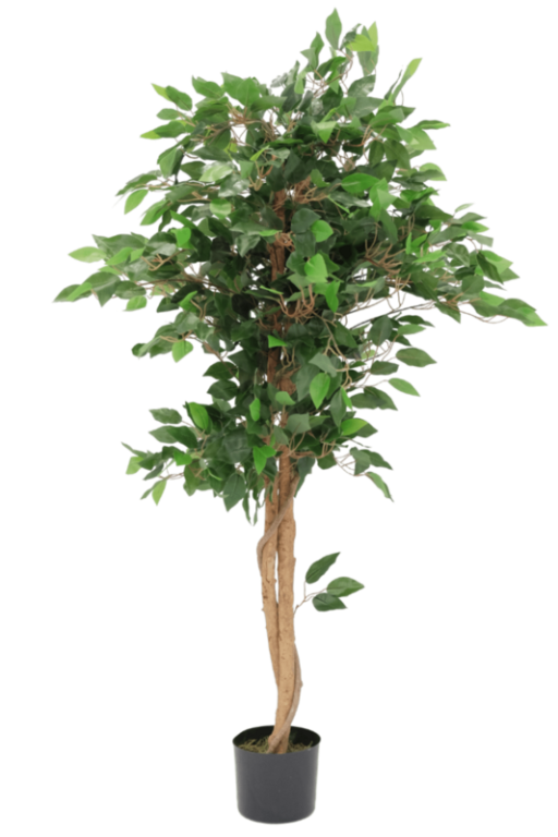 Artificial Ficus 130cm