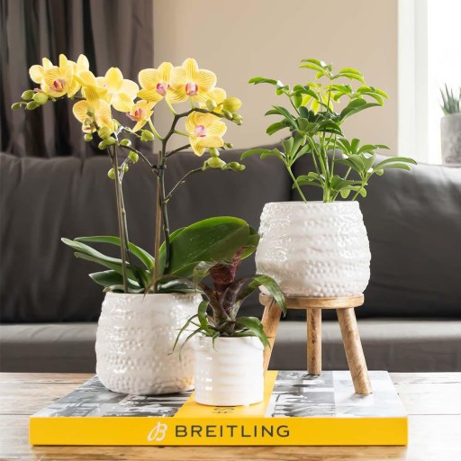 Kolibri Home | Jug bloempot - Witte keramieken sierpot Ø9cm