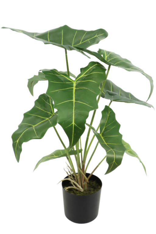 Alocasia Kunstplant 60cm