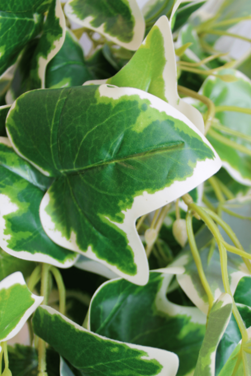 Hedera Star Artificial Hanging Plant 110cm