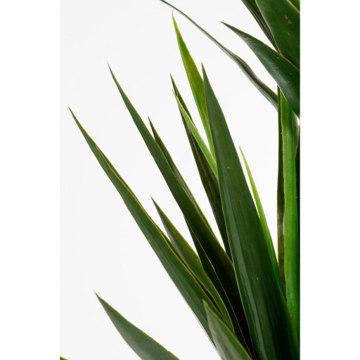 Yucca Kunstplant - H160 x Ø80 cm - Groen