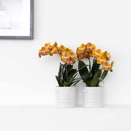 Kolibri Home | Jug bloempot - Witte keramieken sierpot Ø9cm