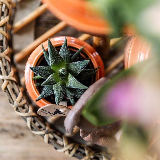 Kolibri Home | Decoratieschaal - Rond Willow dienblad Ø30cm