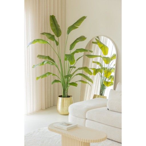 Strelitzia Kunstplant 210cm