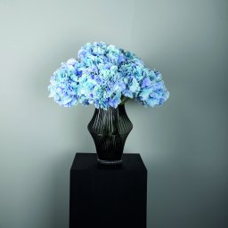 Hydrangea Flower Blue Big Single Flower