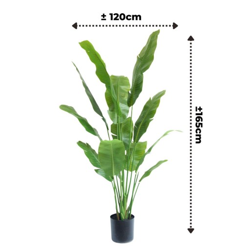Strelitzia Kunstplant 165cm