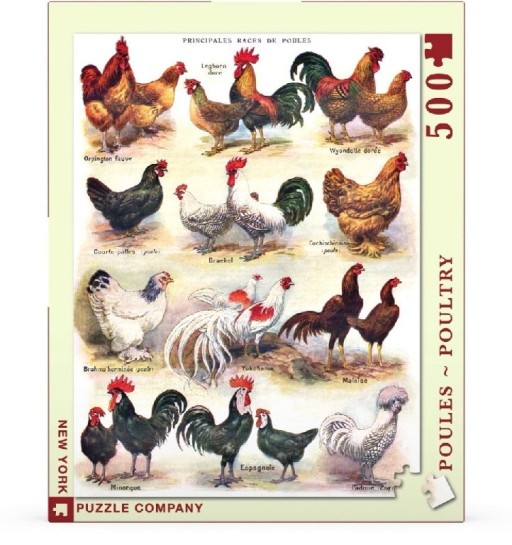 New York Puzzle Company Poules ~ Poultry - 500 pieces