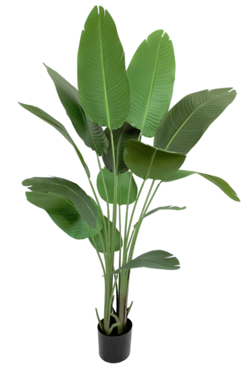 Artificial Strelitzia Plant 160cm