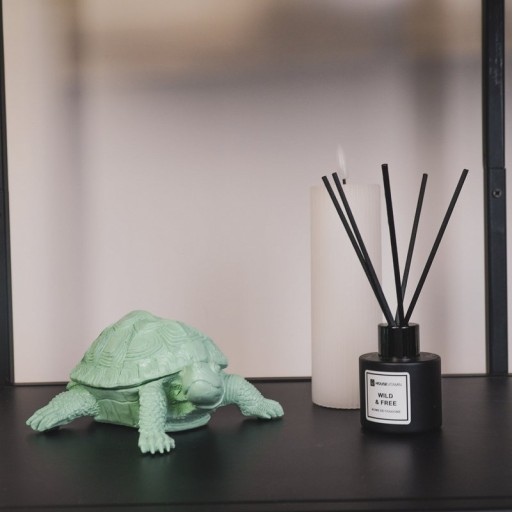 Turtle Box - Polyresin - Mintgreen - 15.5x13.5x7.5cm