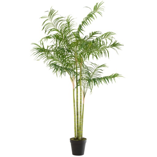 J-Line plant Bamboepalm In Pot - kunststof - groen/zwart - large