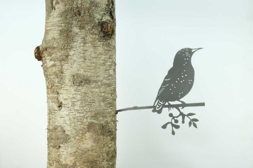 Lucky Starling/Starling 1304, 340 mm wide - 2 mm thick