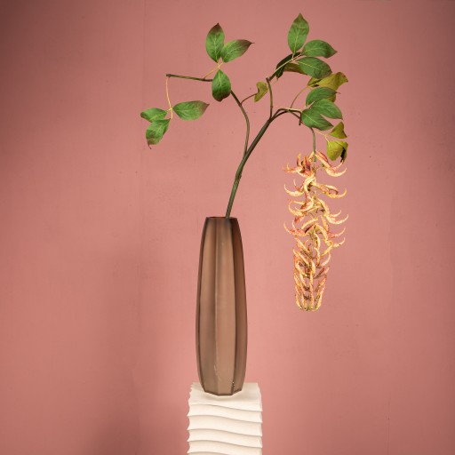 Leaves Plant Orange Strongylondon Spray