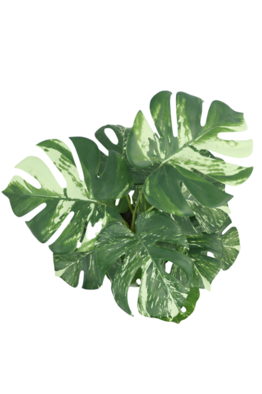 Monstera Artificial plant 40cm