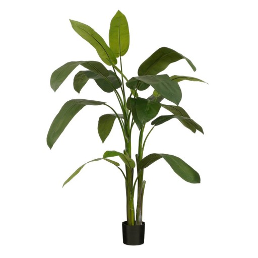 Artificial Heliconia Plant - H175 x Ø140 cm - Green