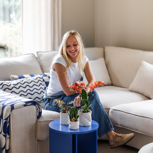 Kolibri Orchids | COMBI DEAL van 4 oranje Phalaenopsis orchideeën - Bolzano - potmaat Ø9cm | bloeiende kamerplant - vers van de kweker