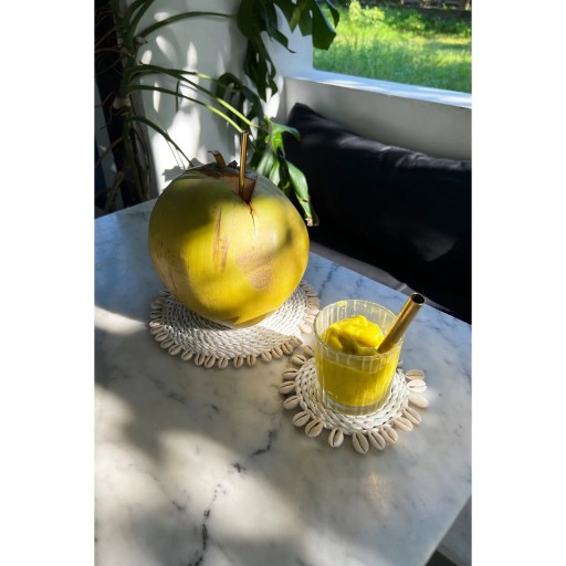 De Seagrass Shell Coaster - Wit