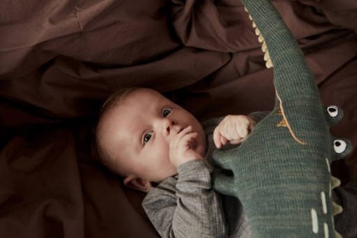 Mr. Crocodile Gustav