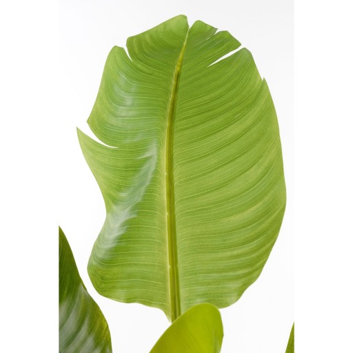 Kunst Bananenplant - H120 x Ø70 cm - Groen