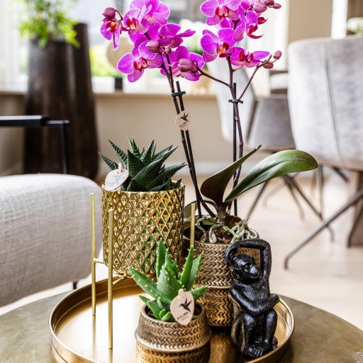 Kolibri Home | Plantenstandaard - Gouden metalen planten verhoging Ø12cm