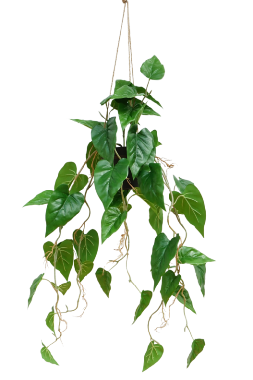 Kunsthangplant Anthurium 95 cm | Kunstslinger