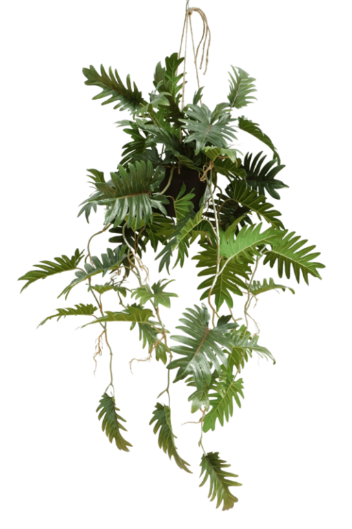 Philodendron Artificial Hanging Plant 95cm