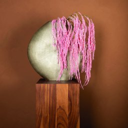 Twig Plant Light Pink Amaranthus Hanging Spray