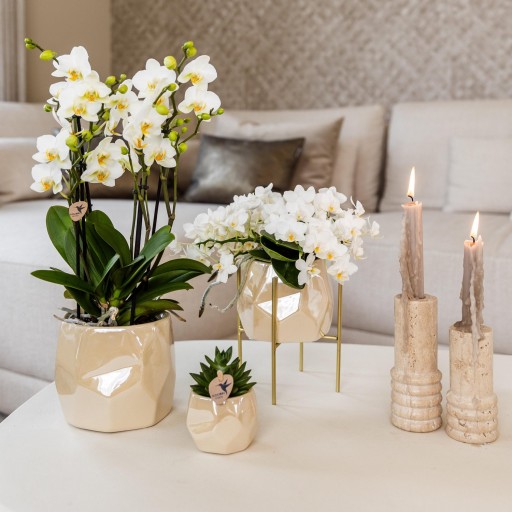 Kolibri Home | Plantenstandaard - Gouden metalen planten verhoging Ø12cm