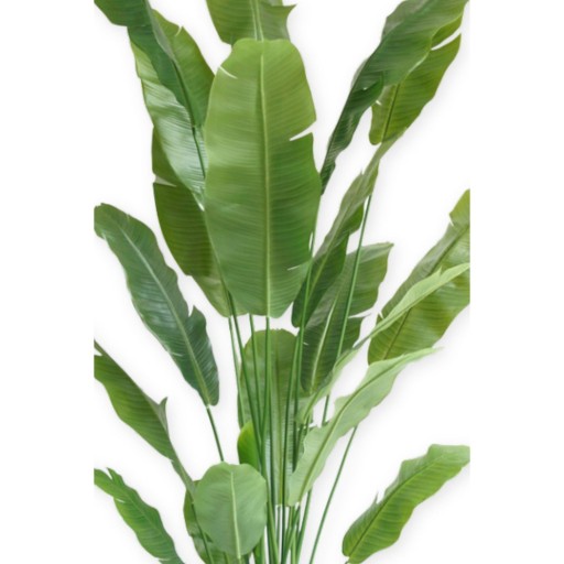 Strelitzia Kunstplant 210cm