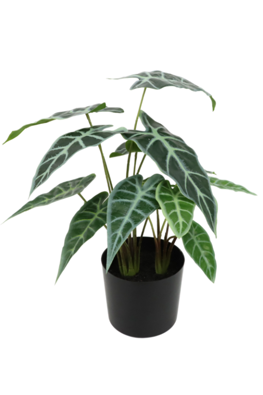 Caladium Kunstplant 38cm