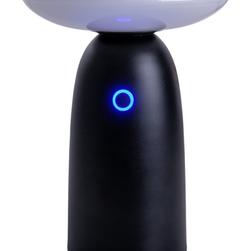 LED Solarleuchte "Ada" schwarz für Außen, LED Tischlampe aus Metall und Kunststoff 22,5 x 16 cm