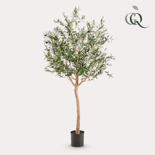 Kunst Olijfboom - Olea europaea - Olijfboom - 180 cm