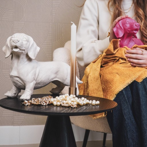 Ornament - Tackle Hond - Polyresin - Beige - 20x8x15cm