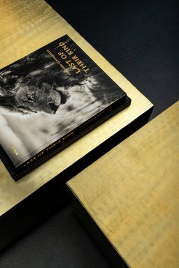 Irvy Gold Iron Coffeetable Square Matt Sv2