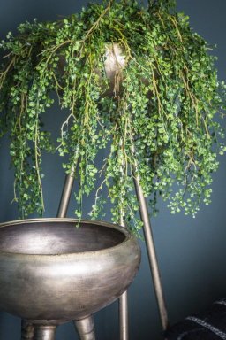 Genesis Brass Metal Planter 3 Feet Round High L