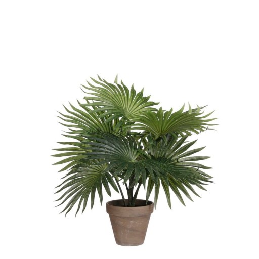 Kunstpalm in Bloempot Stan |  H40 x Ø35 cm | Groen