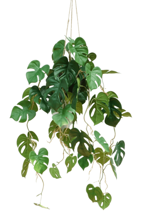 Monstera Artificial Hanging Plant 95cm