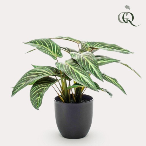 Kunstplant - Calathea Zebrina - Schaduwplant - 38 cm